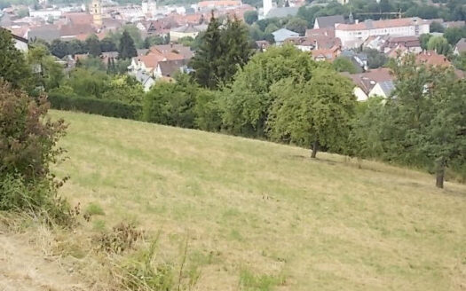 **Exklusiver Bauplatz mit unverbaubarer Aussicht auf das Taubertal**