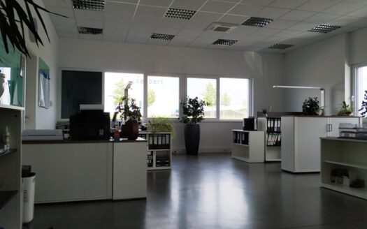 Gruppenbüro mit Schallschutzdecke