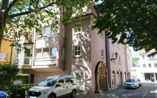 Bild1