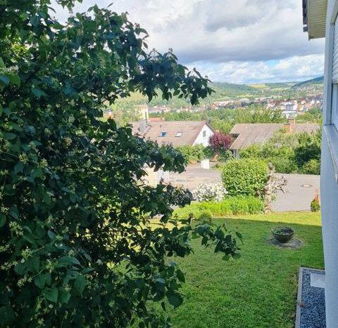hinter dem Haus