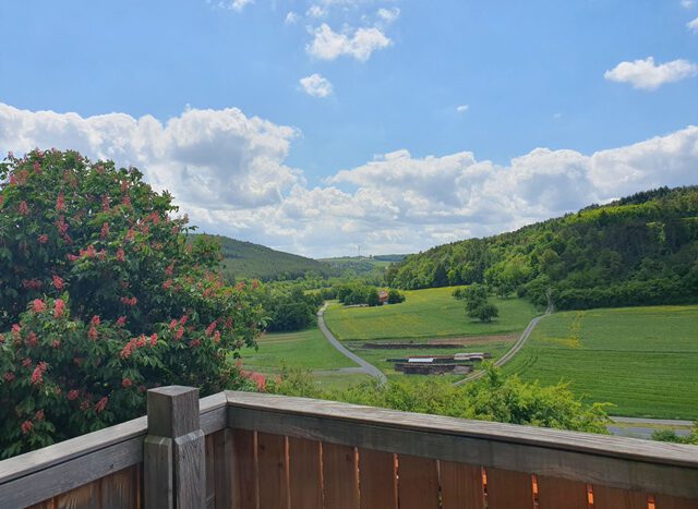 Aussicht vom Balkon