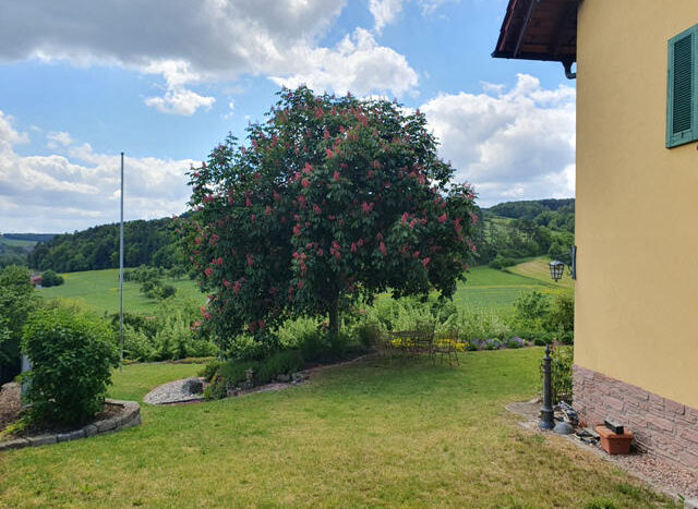Außenanlage