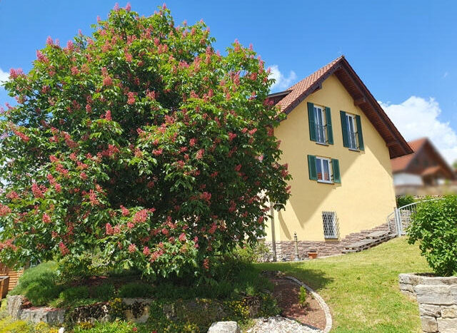 Außenansicht/Außenanlage