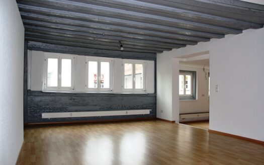Bild1