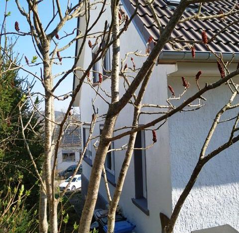 Nordwestl. Ansicht