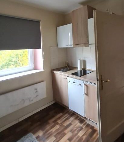 DG: Holzofen im Wohnzimmer