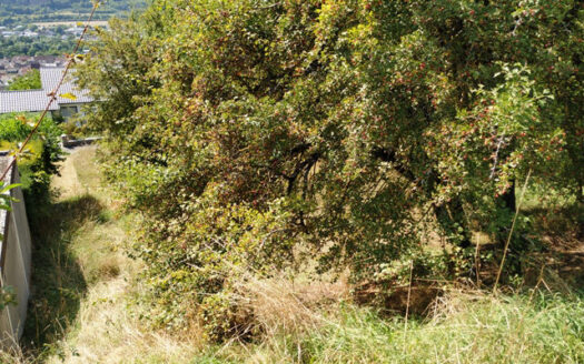 Großes Baugrundstück in bester Aussichtslage!