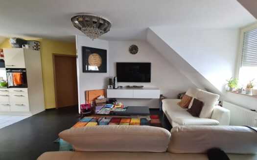 Wohn-/Esszimmer