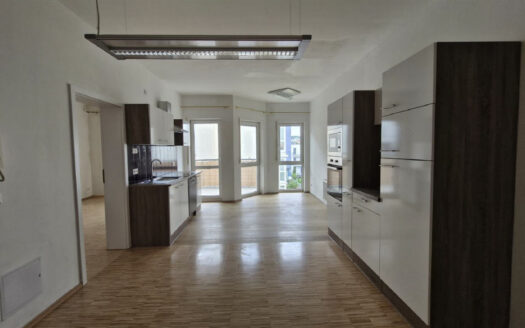 Bild1