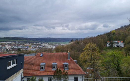 Ausblick