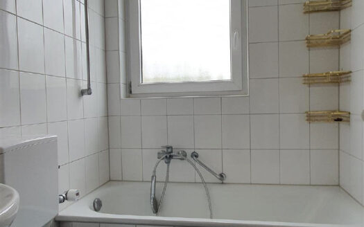 1-Zi-Wohnung zur Miete im Weberdorf