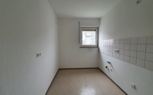 1-Zi-Wohnung zur Miete im Weberdorf