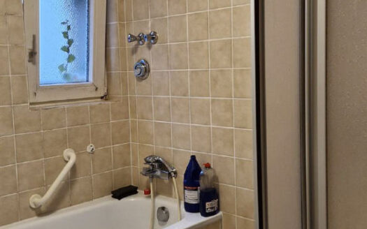 4,5-Zimmer-Wohnung am Stadtrand