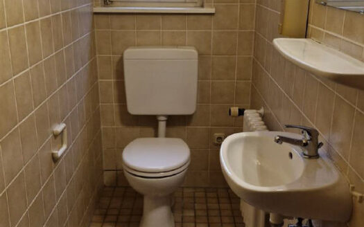 4,5-Zimmer-Wohnung am Stadtrand