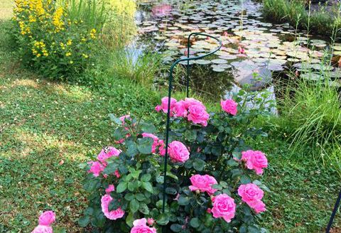 Einfamilienhaus mit großem Grundstück in Ortsrandlage von Schweigern