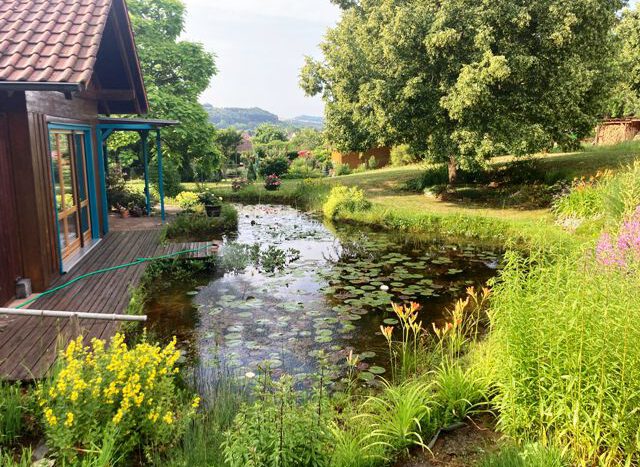 Sommertraum_zum Entspannen!