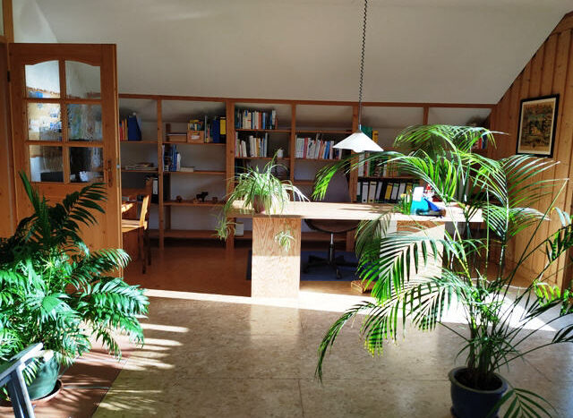 DG_Fußboden mit lackierten OSB-Platten