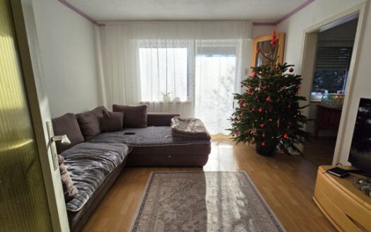 Freistehendes Einfamilienhaus mit ELW in begehrter Wohnlage