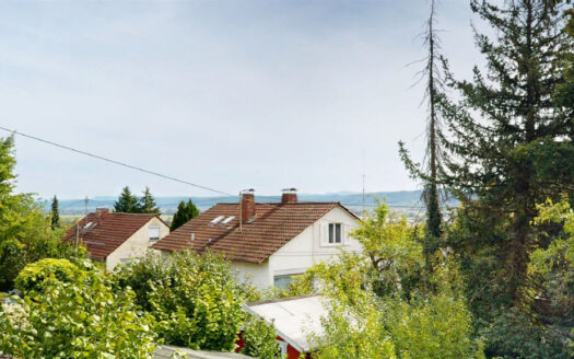 Freistehendes Einfamilienhaus mit ELW in begehrter Wohnlage