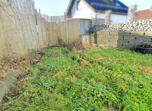 Garten (hinter dem Haus)