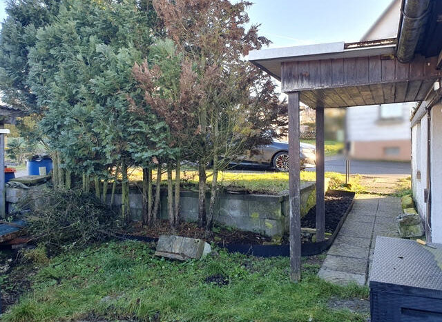 Garten (vor der Haus)