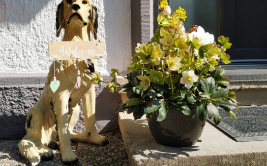 Einfamilienhaus in sonniger, bevorzugter Wohnlage