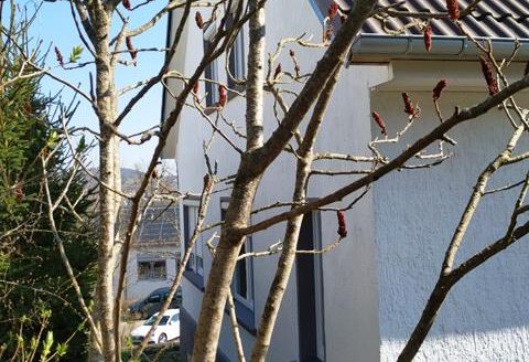 Einfamilienhaus in sonniger, bevorzugter Wohnlage