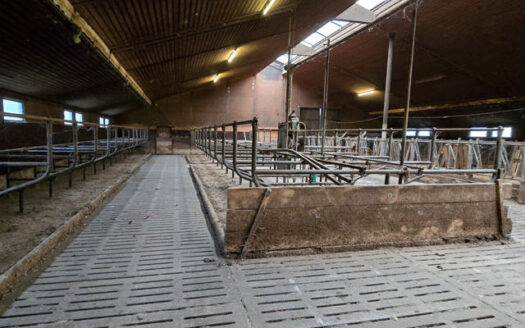 Landwirtschaftliche Teilhoffläche mit Grünland zu verkaufen!