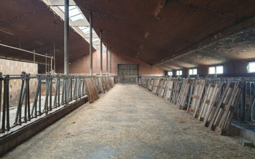 Landwirtschaftliche Teilhoffläche mit Grünland zu verkaufen!