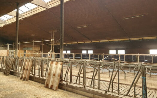 Landwirtschaftliche Teilhoffläche mit Grünland zu verkaufen!