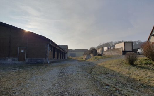 Landwirtschaftliche Teilhoffläche mit Grünland zu verkaufen!