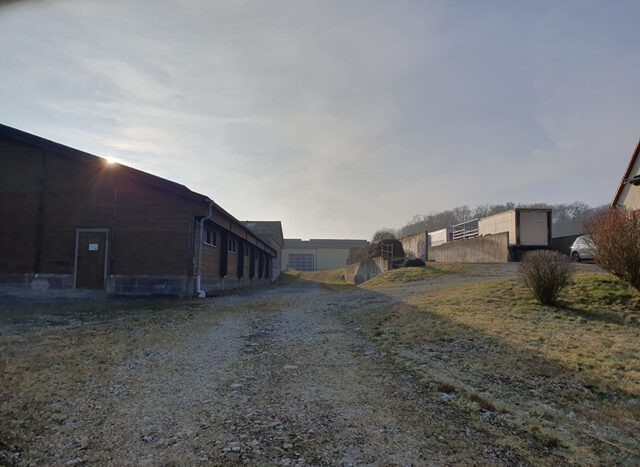 Stall / Zufahrt zur Maschinenhalle