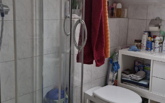 Dreifamilienhaus mit Garten, Garage und drei Stellplätzen