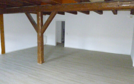 Große 3 Zimmer-Wohnung mit zwei KFZ-Stellplätze – ohne Balkon!!!