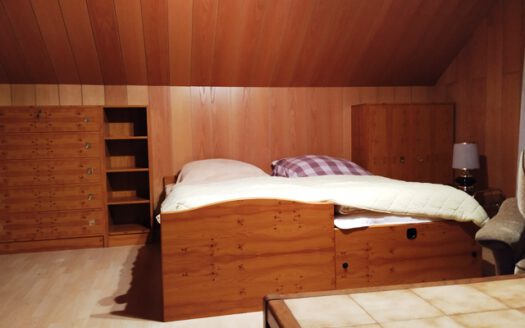 Einfamilienwohnhaus mit 2 Garagen und großem Grundstück in Rüsselhausen