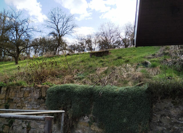 Garten und angrenzendes Baumgrundstück