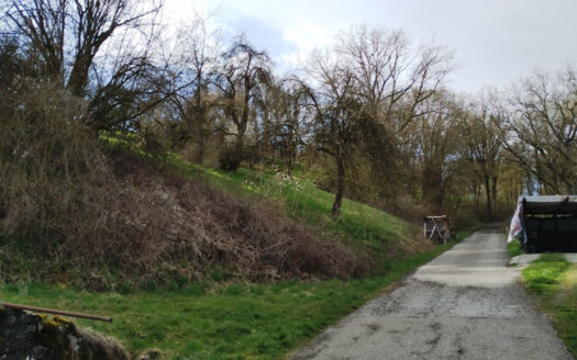 Einfamilienwohnhaus mit 2 Garagen und großem Grundstück in Rüsselhausen