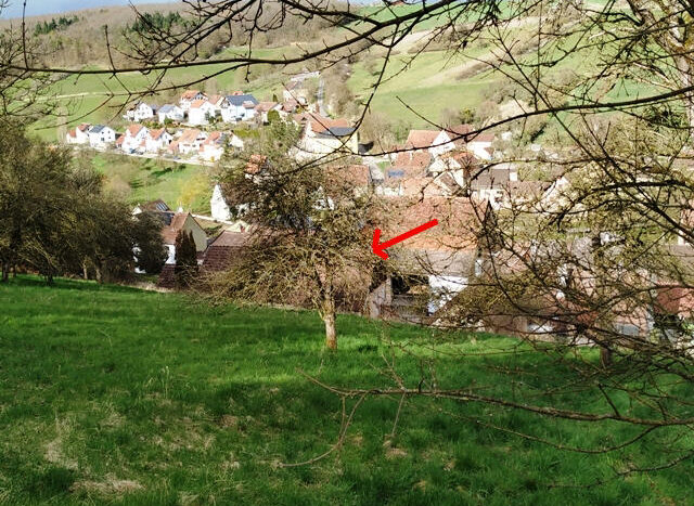 Blick von oben auf das Baumgrundstück und das Anwe